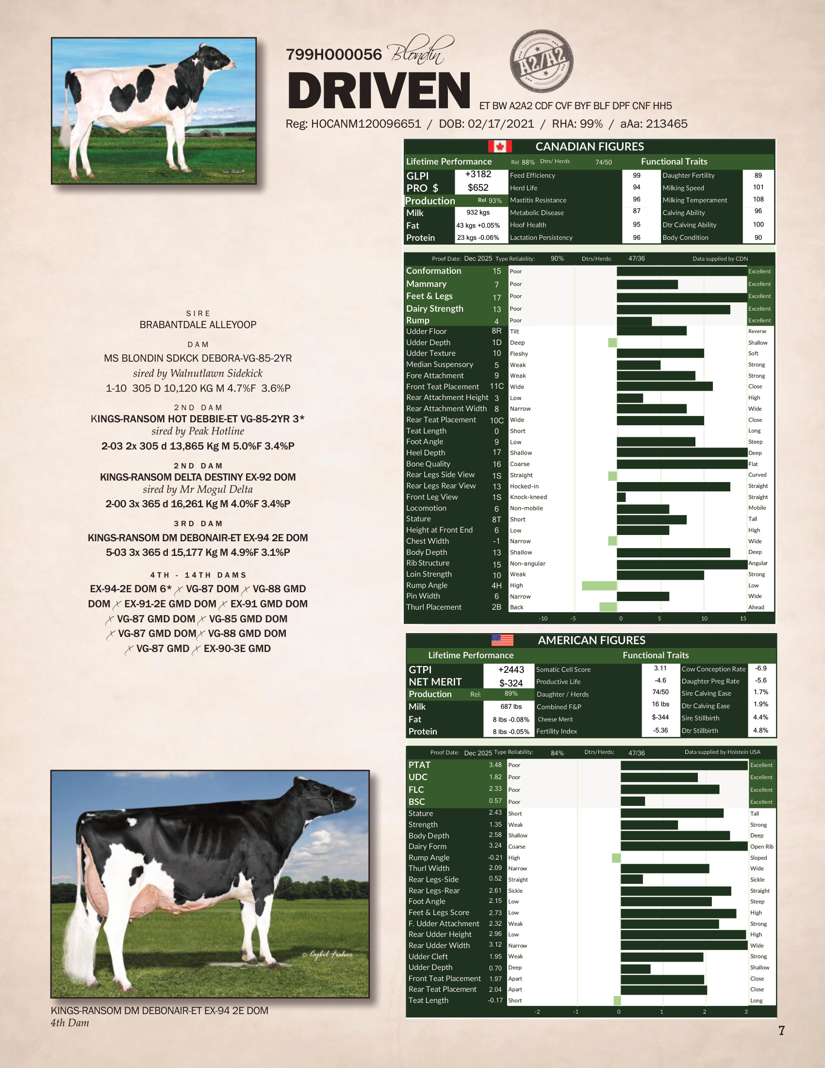 DRIVEN — 799HO00056